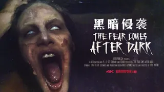 恐怖色情的恐惧天黑后 horror porn the fear comes after dark - 实时更新的高清91TV资源