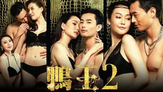 查看 国产3级片 鸭王2 的详细介绍与播放