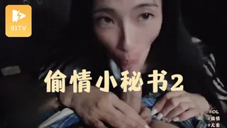 偷情小秘书2 - 高清流媒体极速加载