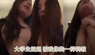 大学生姐姐 被我像狗一样调教，骚到不行 - 高清在线观看