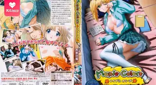 枫叶色彩02 优质原创视频在线直达