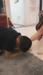 正在播放：首次调狗  (全网精选频道)