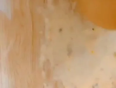 清明假期玩母狗畜牲 - 高清流媒体极速加载