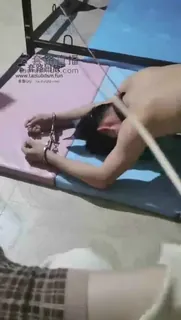 两个圈养狗子 - 极具视觉冲击力的全网精选内容