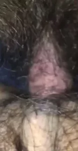 女学生让我快给个痛快直接进 手机浏览器流畅观看预览