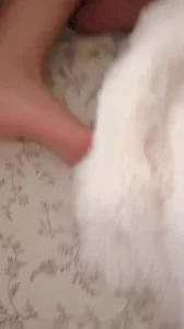 91视频官方收录：骚脚足交