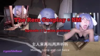 查看 主人喜欢这个雷姆吗 的详细介绍与播放