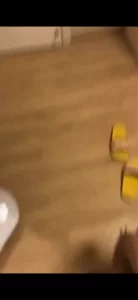 调教母狗之07年舞蹈生狗链爬行，完整版私，门槛99 - 极具视觉冲击力的全网精选内容