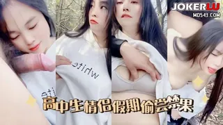 正在播放：高中生情侣假期偷尝禁果-嘉洛 (全网精选频道)