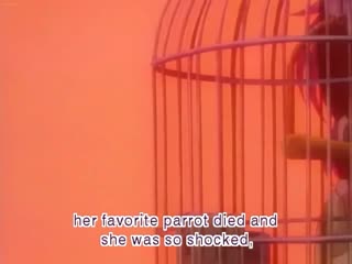 91视频推荐：シンエンジェル5-Shin Angel 5 手机在线播放