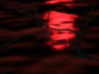 91视频推荐：アンバランス3-Unbalance 3 手机在线播放