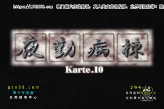 查看 夜勤病棟 Karte 10 的详细介绍与播放