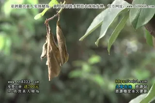 姐姐的无防备洗完澡 河南実里 最新更新资源合集