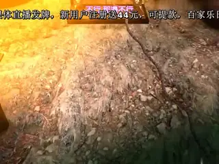 全网精选高分作品推荐：プリンセスプリズン[夜桜字幕组]