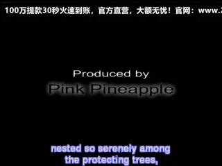 查看 怪獣兄弟1-InjuuKyoushi1 的详细介绍与播放