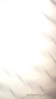 全网精选高分作品推荐：无标题(untitled)