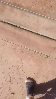 无标题(untitled) 手机浏览器流畅观看预览