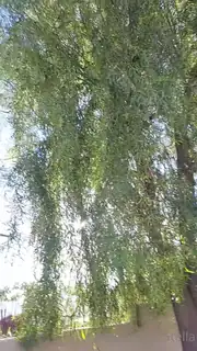 无标题(untitled) 优质原创视频在线直达