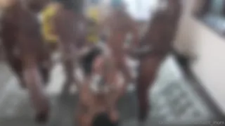 “ - 高清在线观看