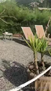 全网精选高分作品推荐：“假日蒙太奇亮点