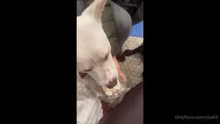 【全网精选】“吃豆腐奶油”("Tofu eating whip cream") 现场高清截图