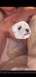 91视频推荐：“这是星期二的提示！今天任何提示的人明天都会把整个裸露的床视频发送给他们的DMS。完整的视频已有一分钟的时间，没有Luna＆Belle覆盖我的顽皮碎片。我不得不把它们放在预览或显示得太多。我的Nakeynessxx❤️ 手机在线播放