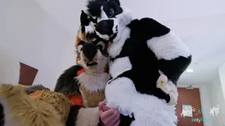 91视频官方收录：“ Kaii的生日狂欢 - 完整的视频\ n \从来没有一个幻想在您的生日那天被您的朋友使用和分享？