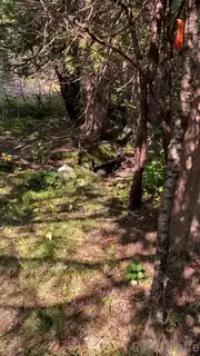 查看 “这有点令人尴尬的 的详细介绍与播放