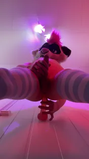 “有趣的感觉〜 最新更新资源合集