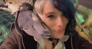 “从事更多内容，托马罗我的爱”("Working on more content tommarow my loves") 优质原创视频在线直达