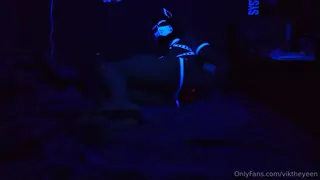 91视频推荐：“这个小幼崽徘徊在龙书房里，留下了一个漂亮的草率尾巴〜\ n \ nhey yall，希望您喜欢这个视频！对不起，对于最近缺乏帖子，工作很艰难，在工作和HRT之间，我' ve最近试图靠近。无论哪种方式，稍后在~~~~("This lil pup wandered into the dragons den, and left with a nice, sloppy tail~\n\nHey yall, hope you enjoy this video! Sorry for the lack of post 手机在线播放