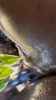 全网精选高分作品推荐："