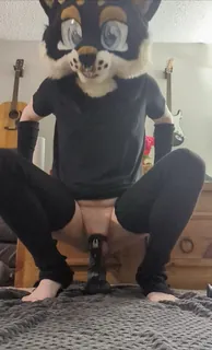 “我骑这个玩具的越多，我就越努力，可以把这个东西拿走我喜欢的东西”("The more I ride this toy the harder and faster I can take this thing I love it") - 实时更新的高清全网精选资源