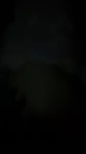 91视频推荐：小狗 手机在线播放