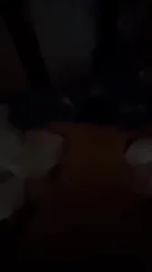 大白屁股的前女友 - 高清在线观看