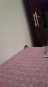 骚熟女口交 - 极具视觉冲击力的全网精选内容