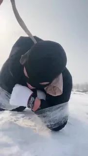 91视频官方收录：雪地的一场遛狗之旅