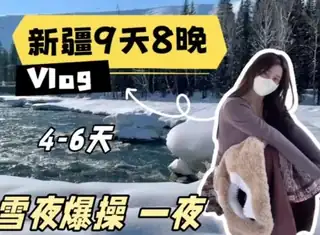 美女博主，兼职陪玩《新疆9天8晚》Vlog，雪地爆肏一夜 - 高清流媒体极速加载