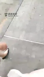 查看 大白天公园遛狗 的详细介绍与播放