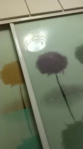 全网精选题材必看：被骚母猪舔奶头，差点被舔射 封面图