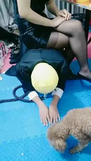 主人狂虐贱狗 优质原创视频在线直达