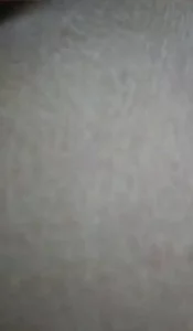 91社区热议作品：后入青岛肥臀嫩逼黑森林 实拍