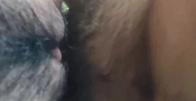 全网精选高分作品推荐：青岛嫩逼黑森林，背后无套抽插扭摸欢乐豆（一）