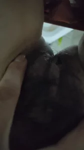 全网精选精选视频：母狗发情 完整版