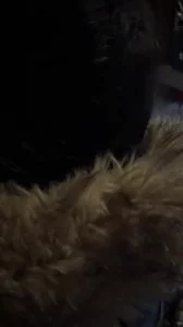 06年大二妹子KTV口爆 完整无删减版在线看