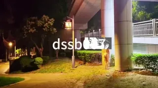 马路边的小蓝帽 - 1080P超清画质展示图