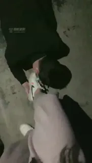 全网精选精选视频：高清 惩罚敢偷我的内裤的小偷  完整版