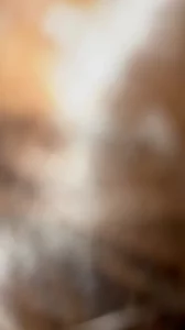 [原创] 手势验证，能看到奶子吗？ 最新更新资源合集