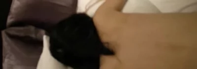 杭州出轨人妻第二波 - 实时更新的高清全网精选资源