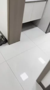 91视频推荐：沈阳老阿姨夫妻交友 辽宁省内可约 拒单 手机在线播放